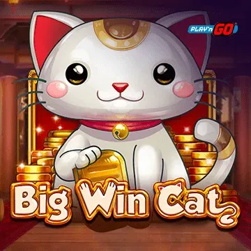 Big Win Cat - AUTOCUAN777